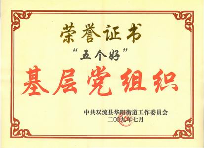 公司黨委“創(chuàng  )先爭優(yōu)”受表彰